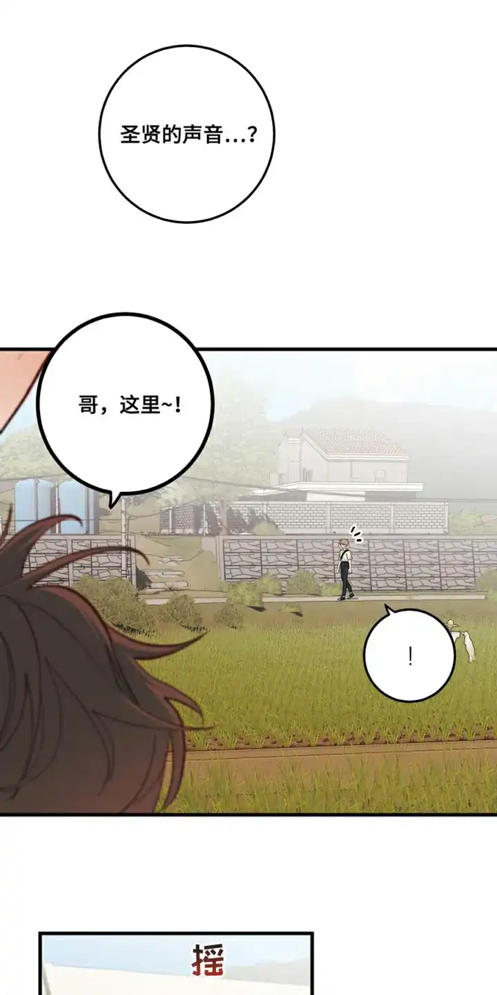 《梨花盛开的爱》第15话 第17页