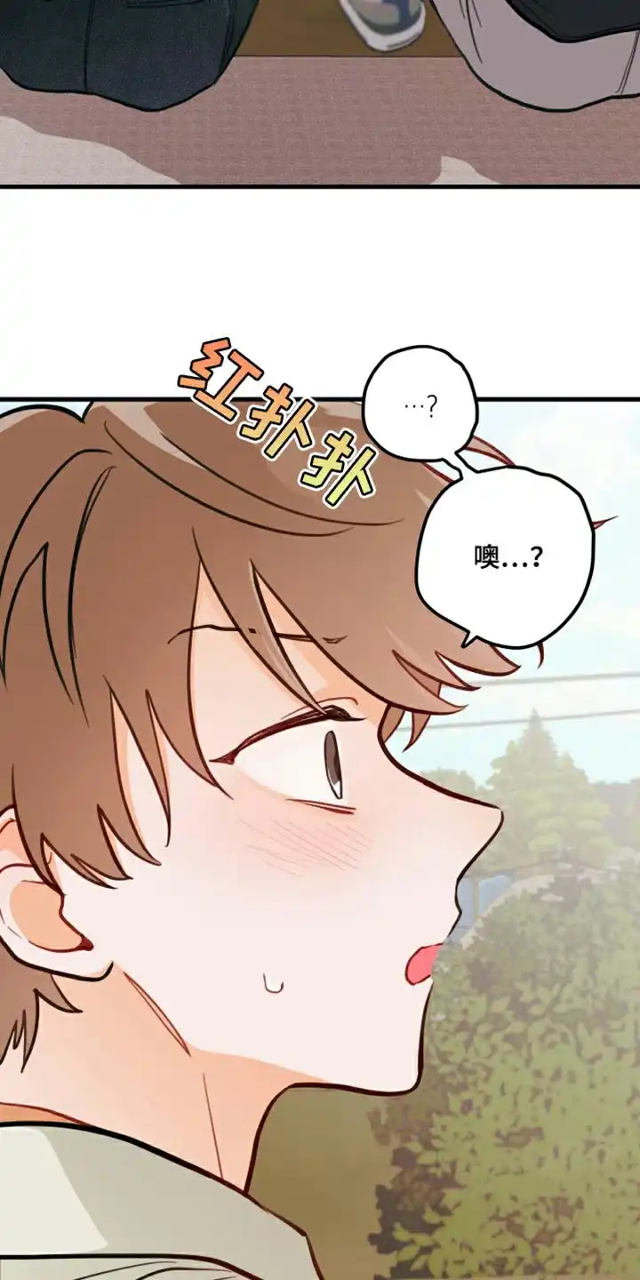 《梨花盛开的爱》第17话 第29页