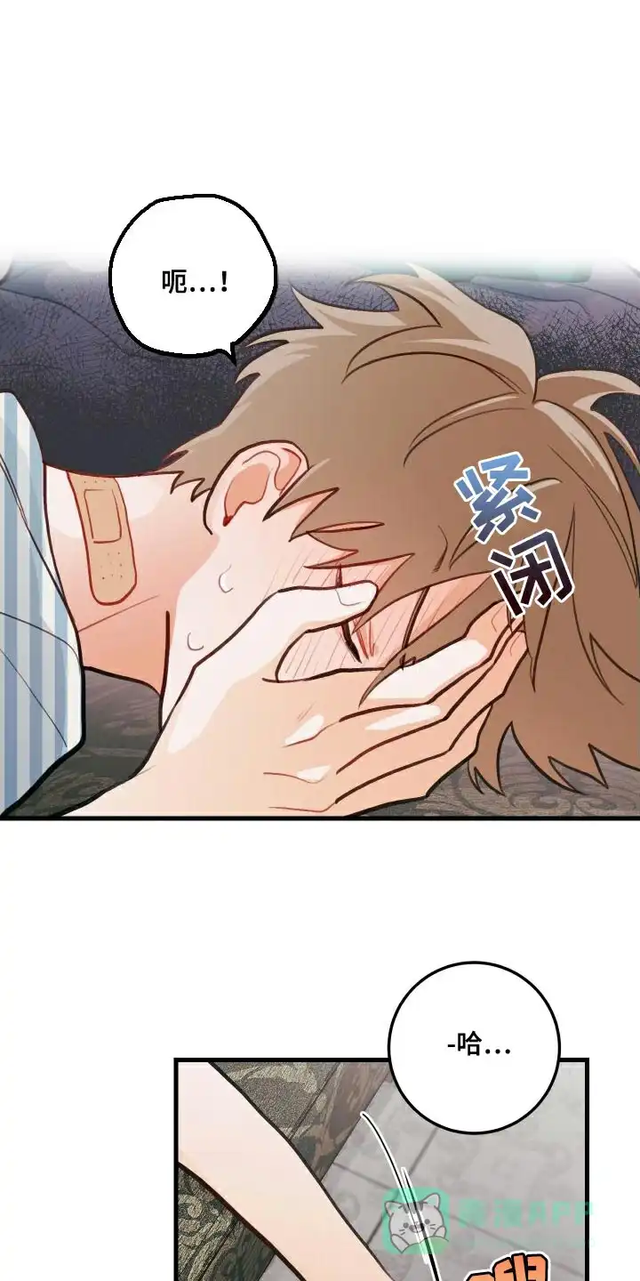 《梨花盛开的爱》第26话 第11页