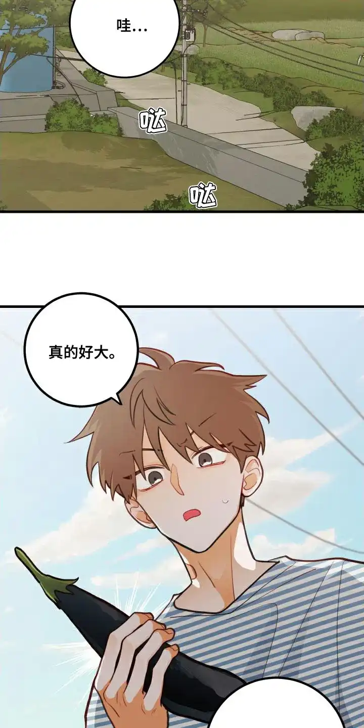 《梨花盛开的爱》第27话 第12页
