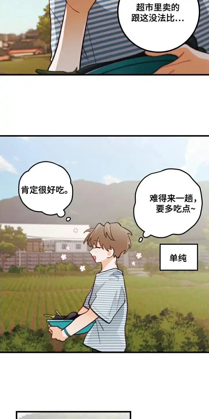 《梨花盛开的爱》第27话 第13页