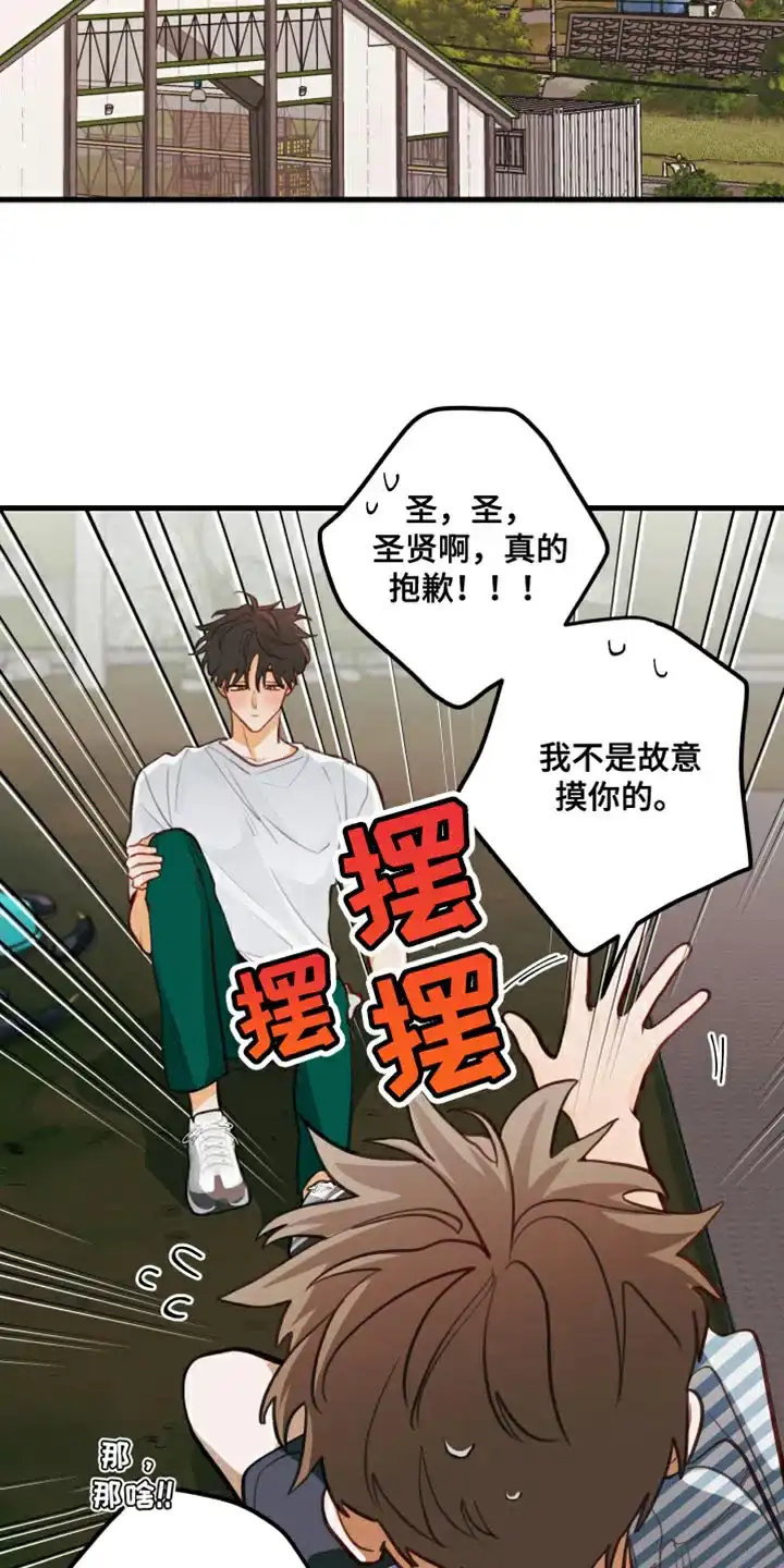 《梨花盛开的爱》第28话 第5页