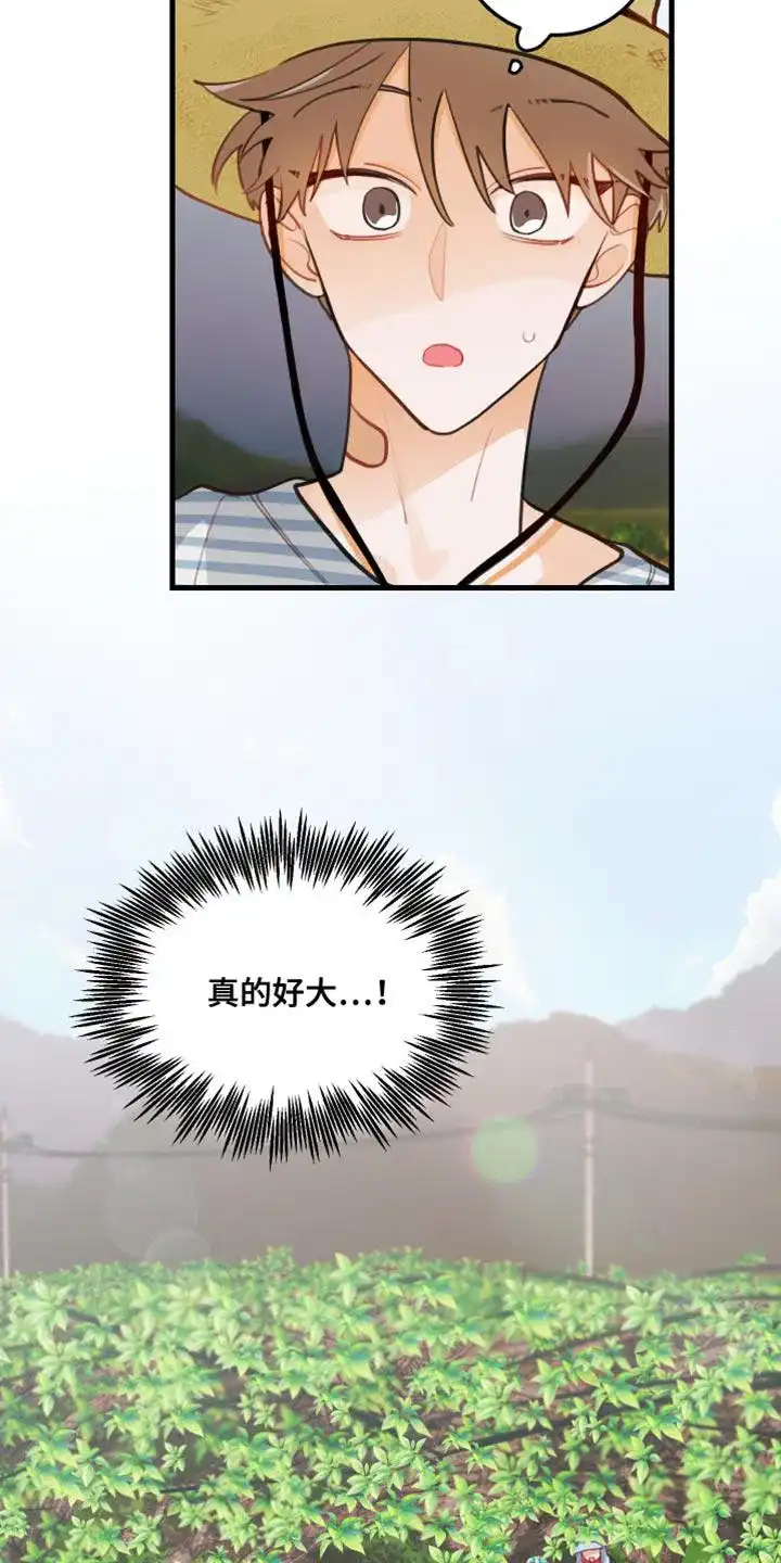 《梨花盛开的爱》第30话 第9页