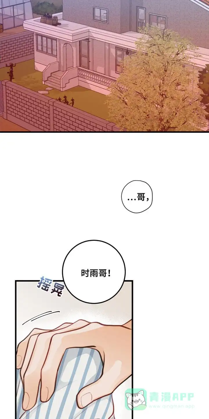 《梨花盛开的爱》第31话 第6页