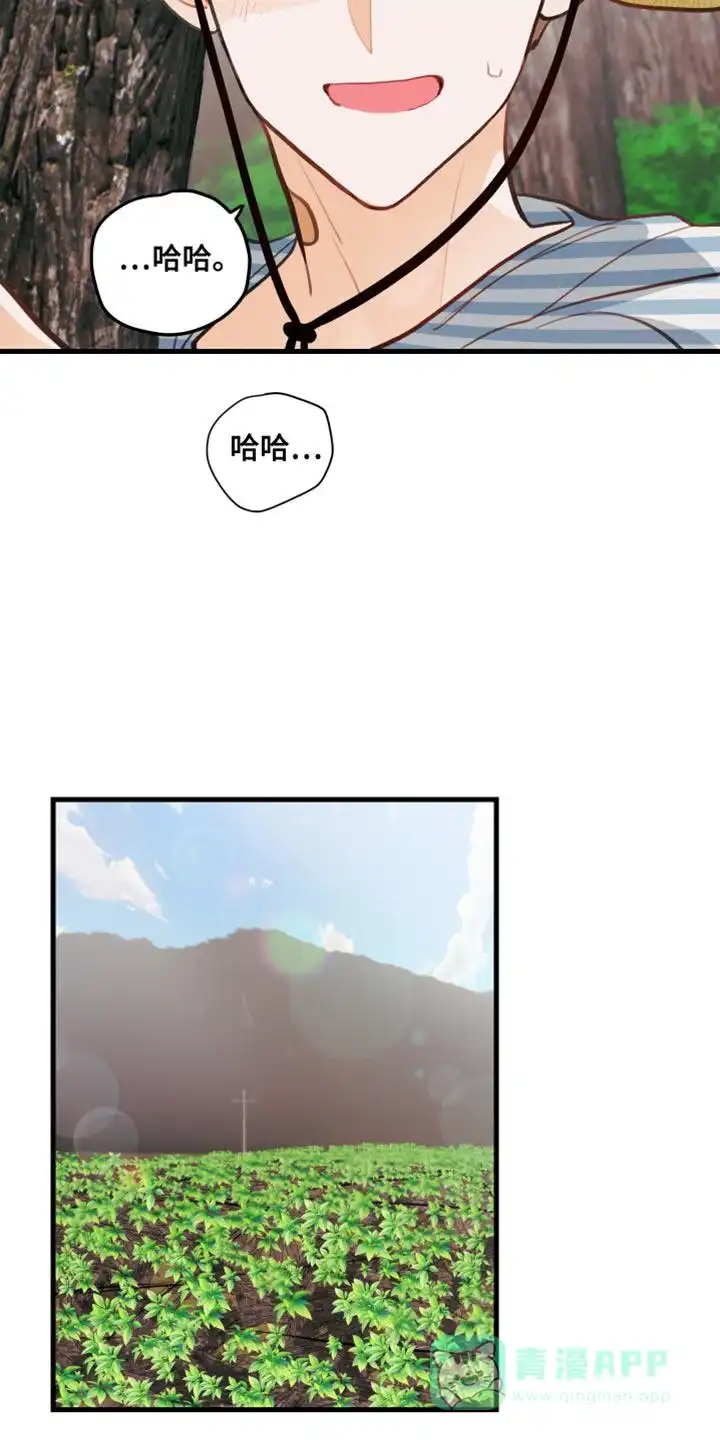 《梨花盛开的爱》第31话 第11页