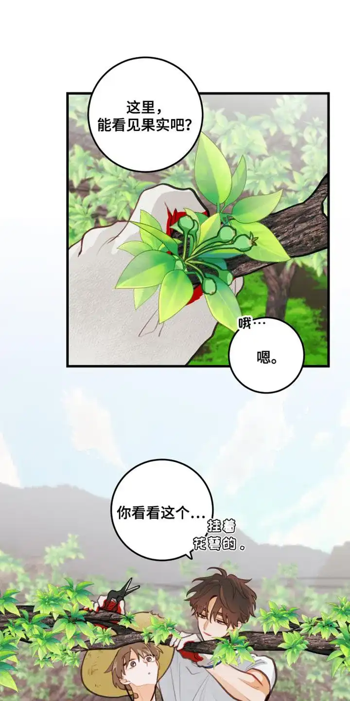《梨花盛开的爱》第31话 第12页