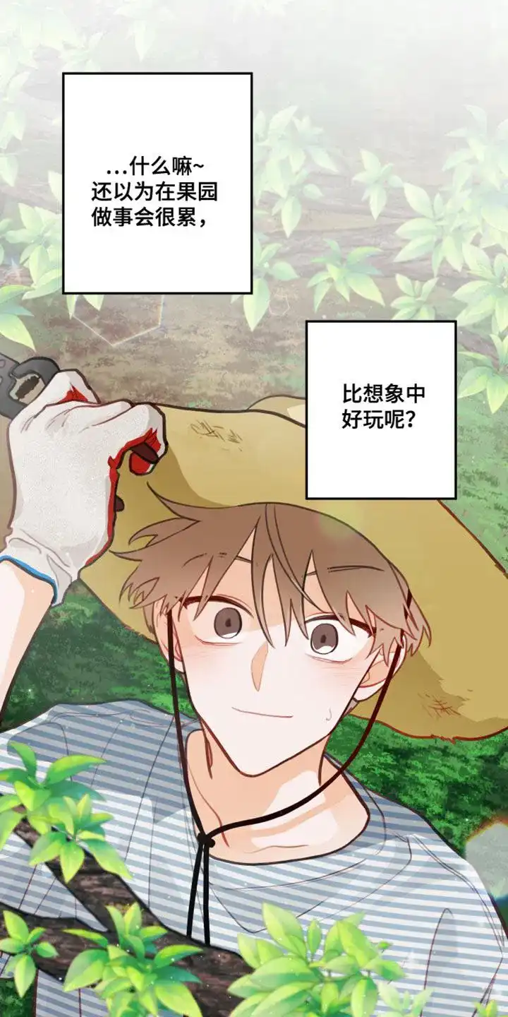 《梨花盛开的爱》第31话 第2页