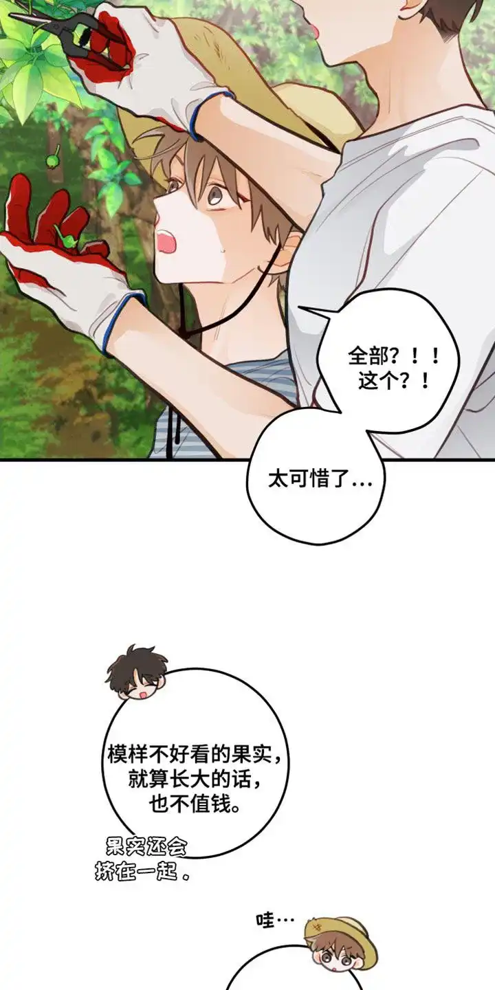 《梨花盛开的爱》第31话 第14页