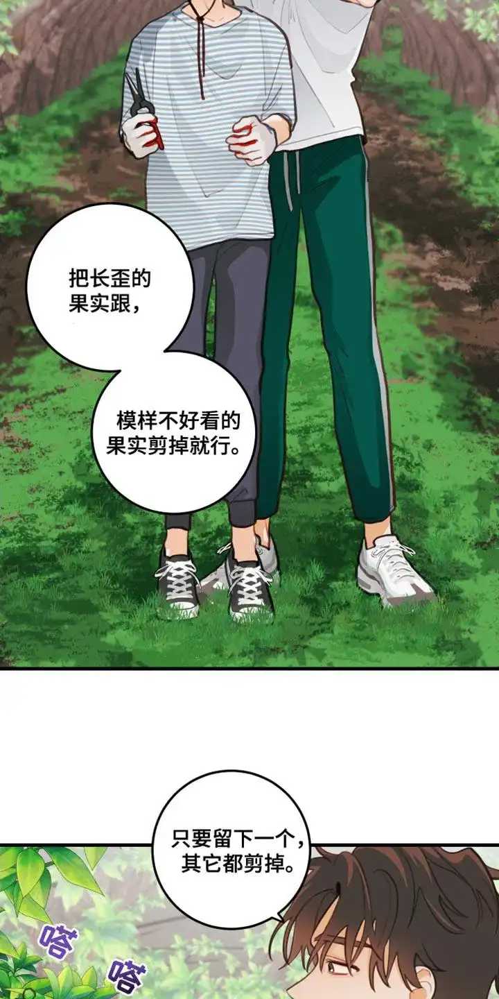 《梨花盛开的爱》第31话 第13页