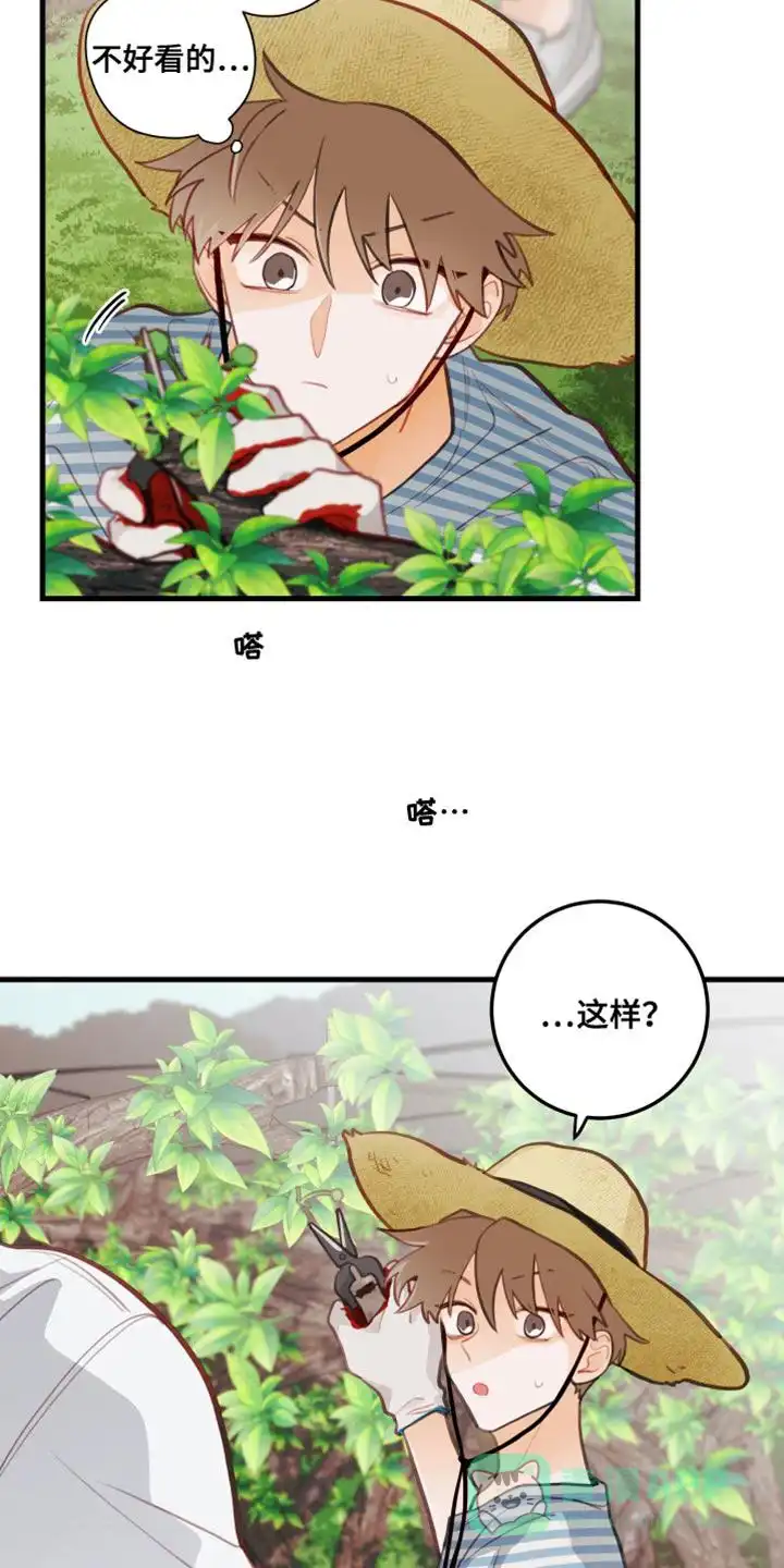 《梨花盛开的爱》第31话 第16页