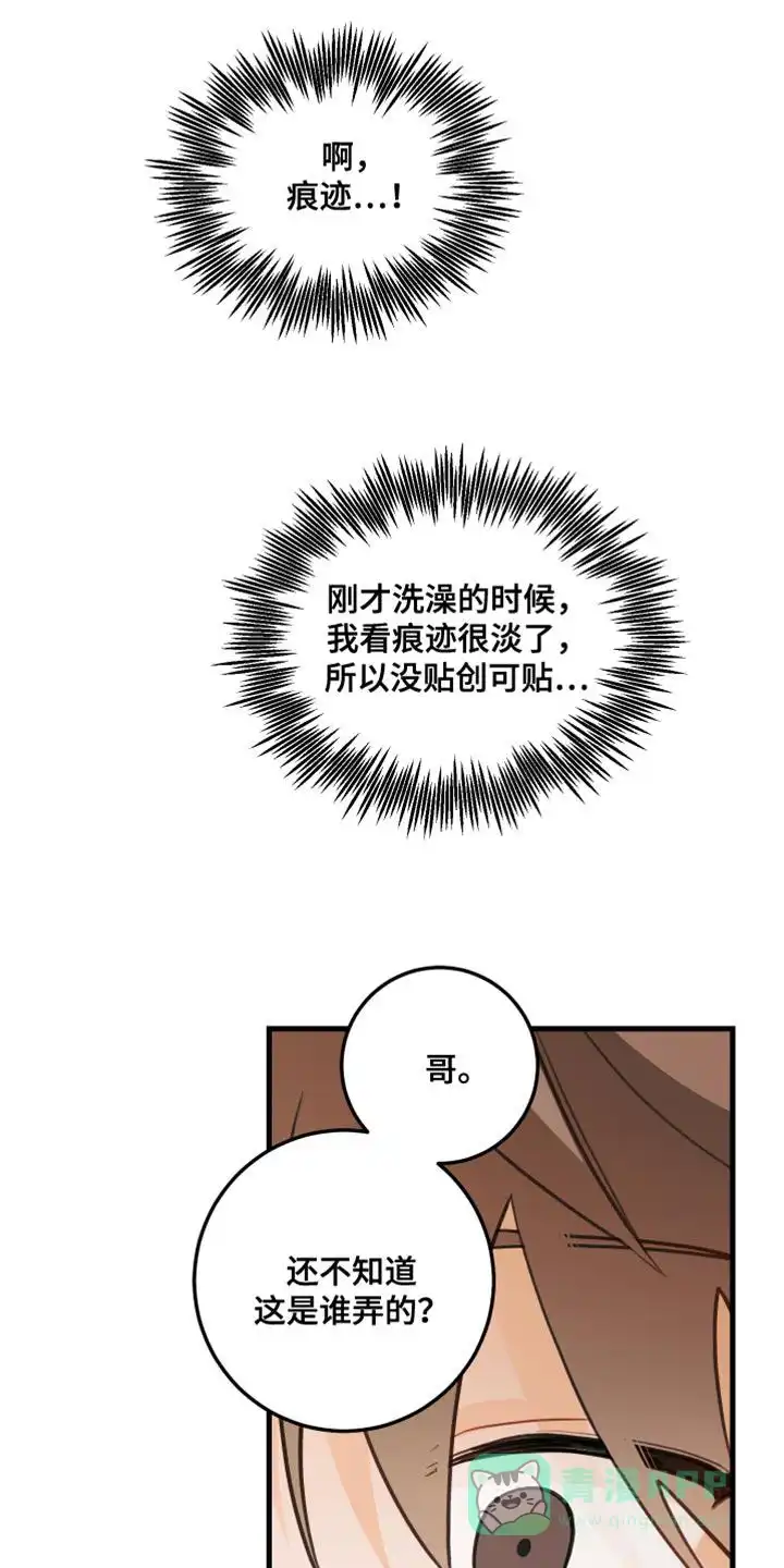 《梨花盛开的爱》第35话 第16页