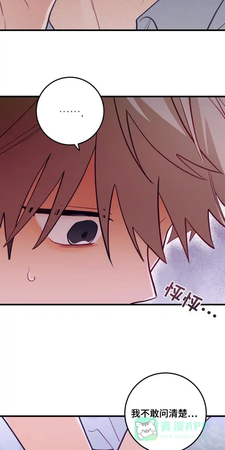 《梨花盛开的爱》第41话 第11页