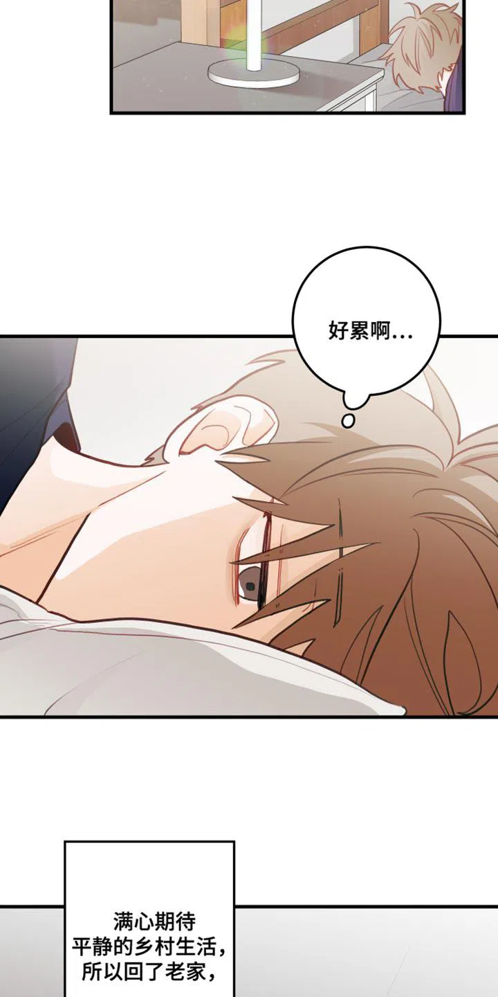《梨花盛开的爱》第42话 第2页