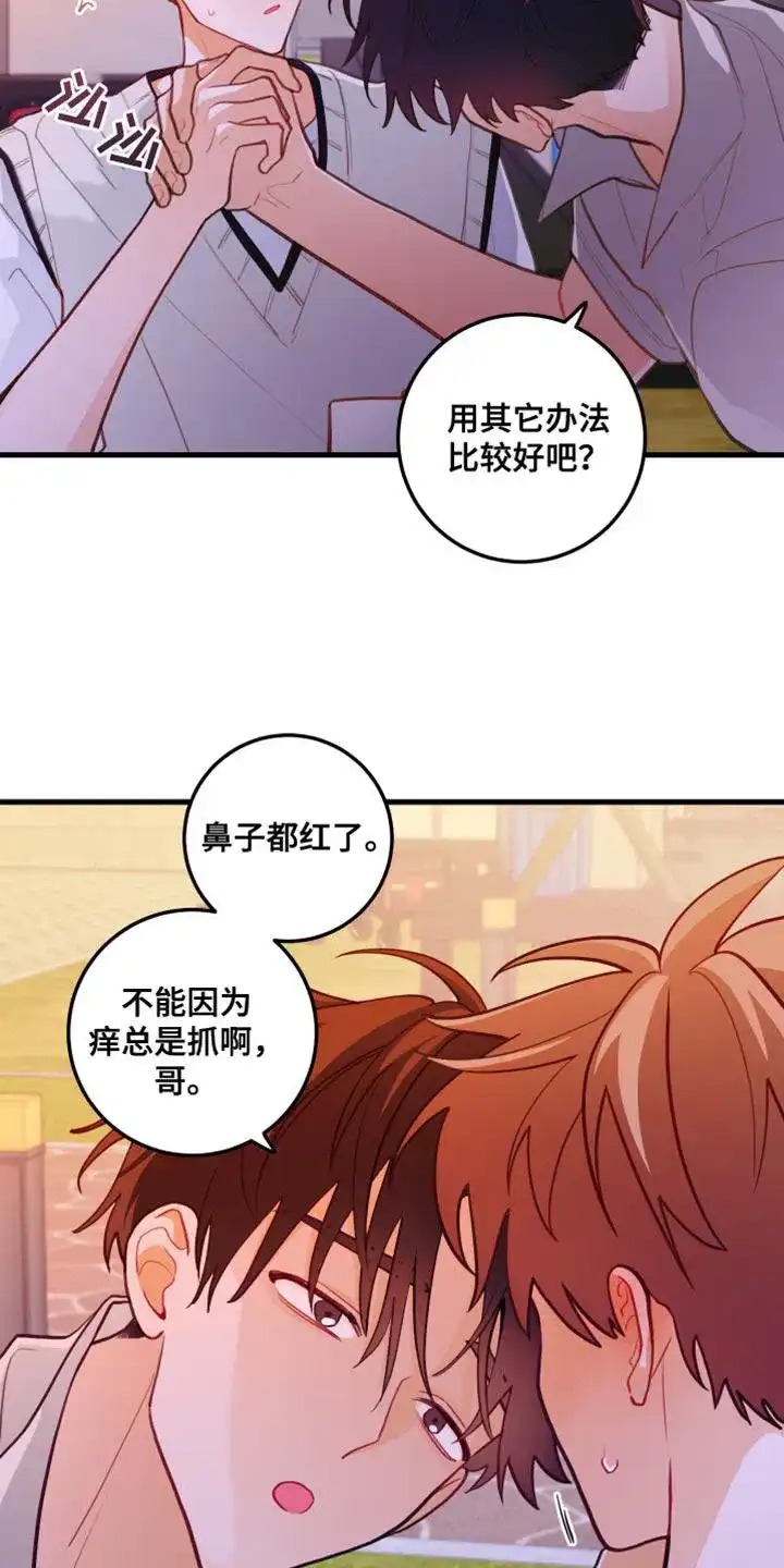 《梨花盛开的爱》第46话 第9页