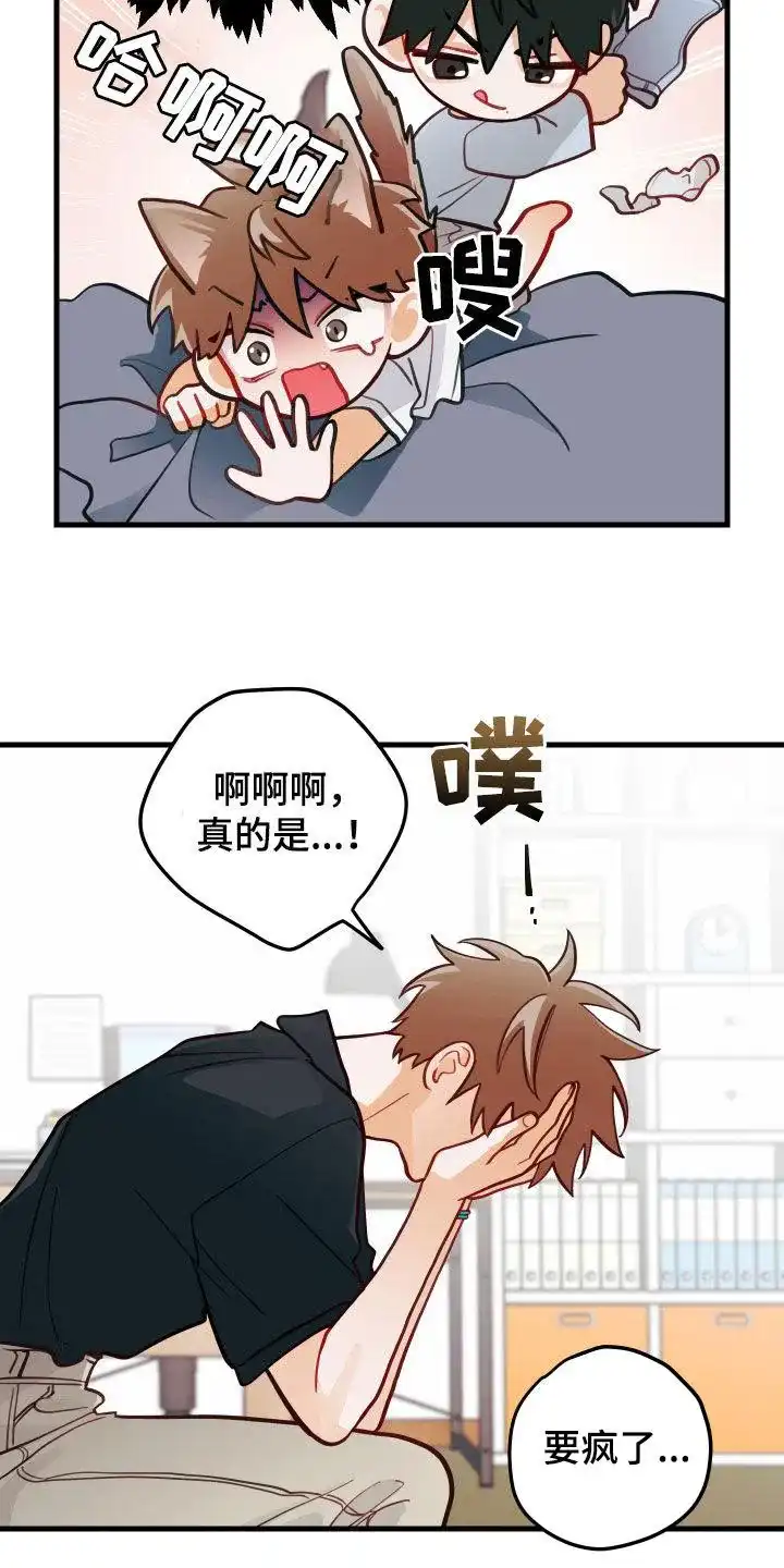 《梨花盛开的爱》第53话 第18页