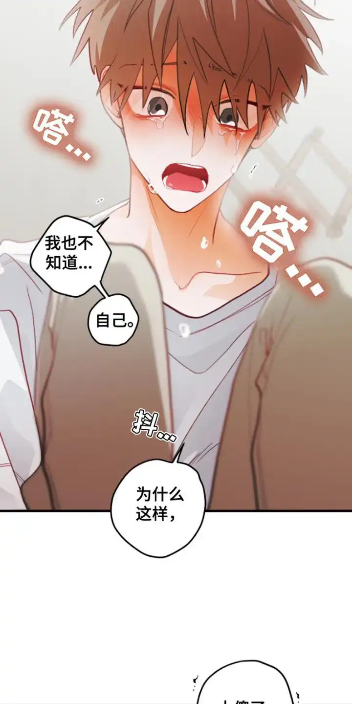 《梨花盛开的爱》第60话 第10页