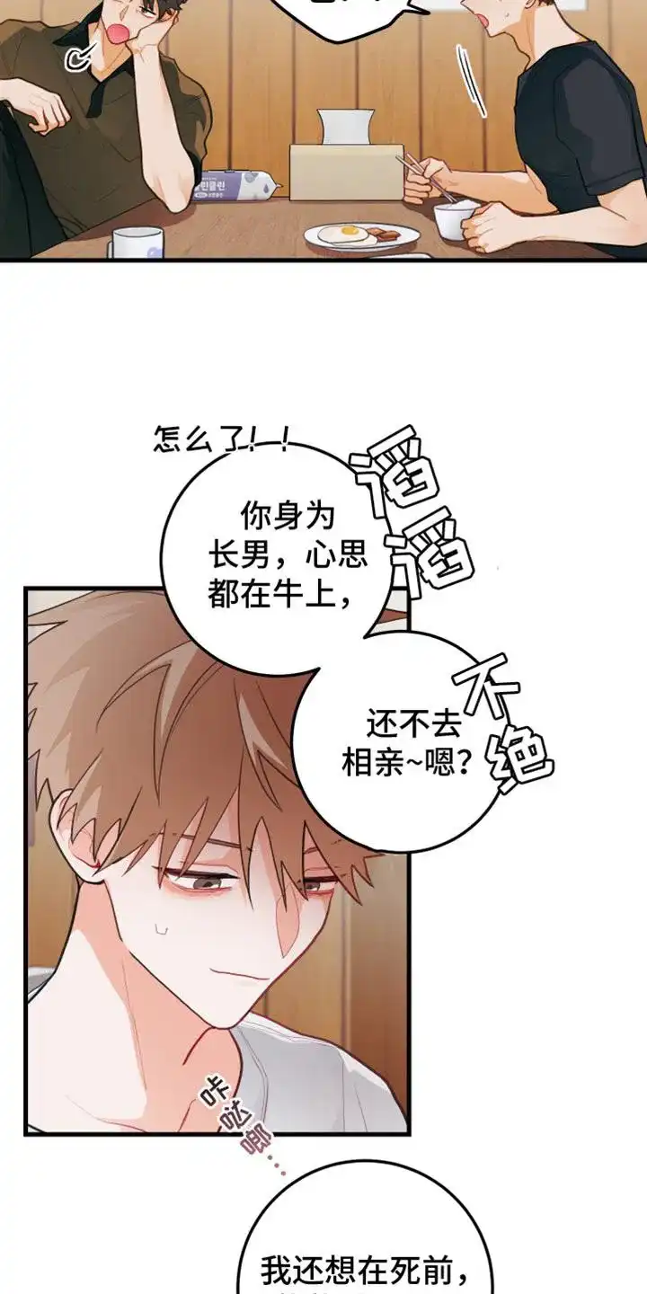 《梨花盛开的爱》第61话 第27页