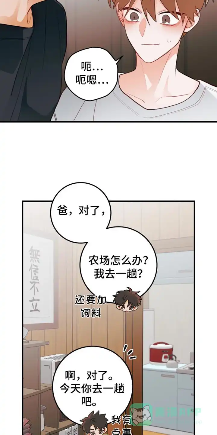《梨花盛开的爱》第62话 第6页