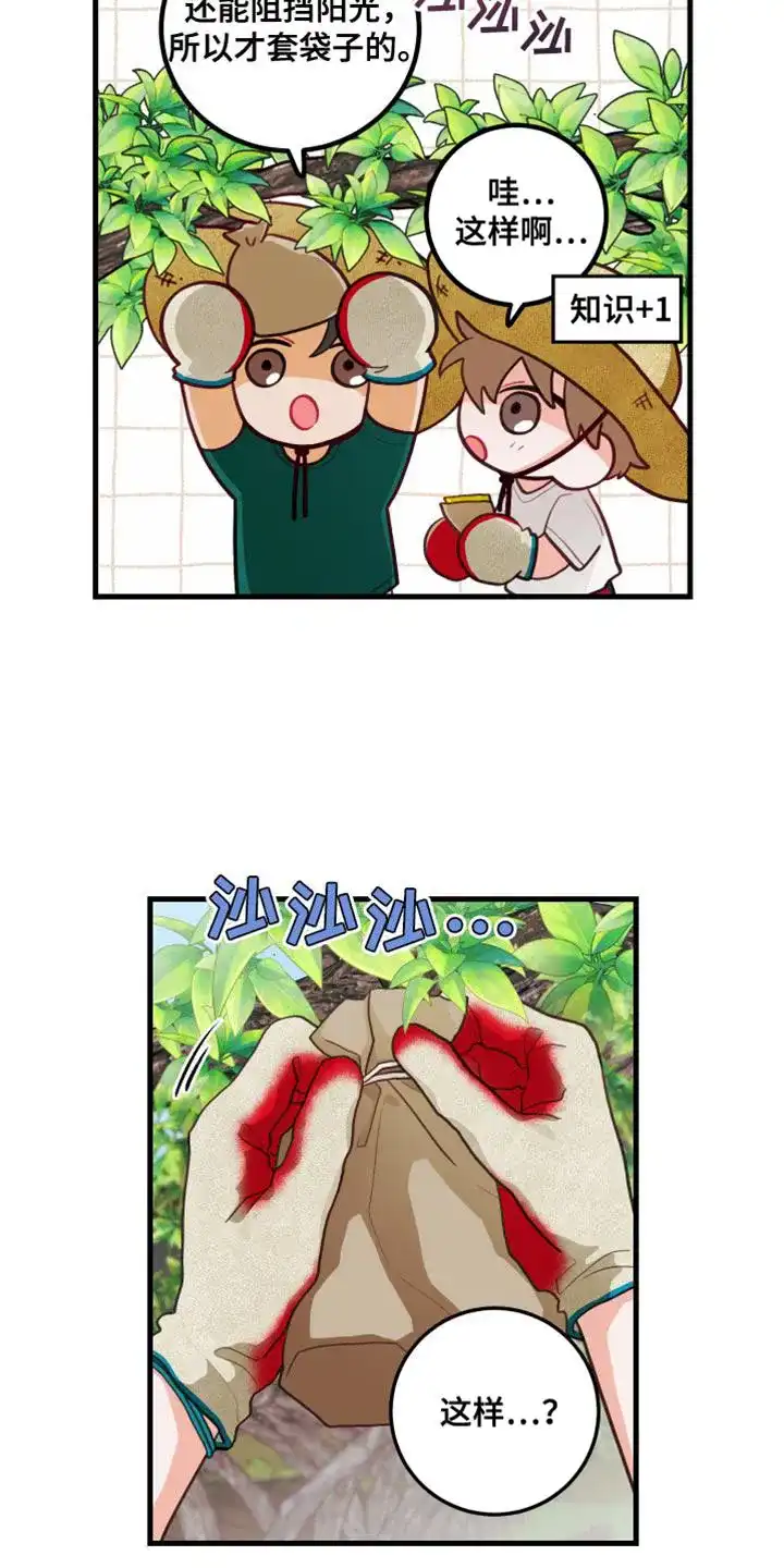 《梨花盛开的爱》第69话 第3页