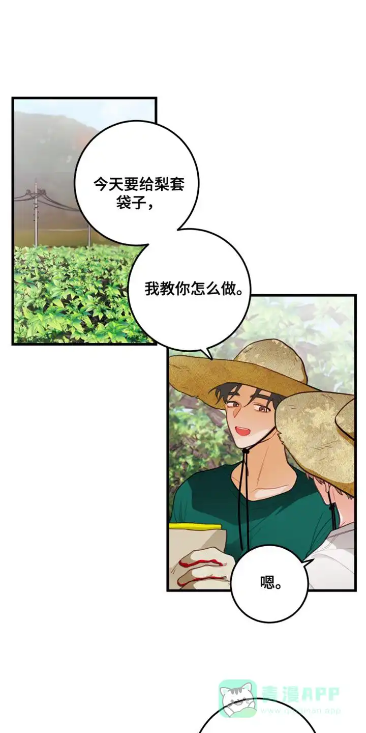 《梨花盛开的爱》第69话 第1页
