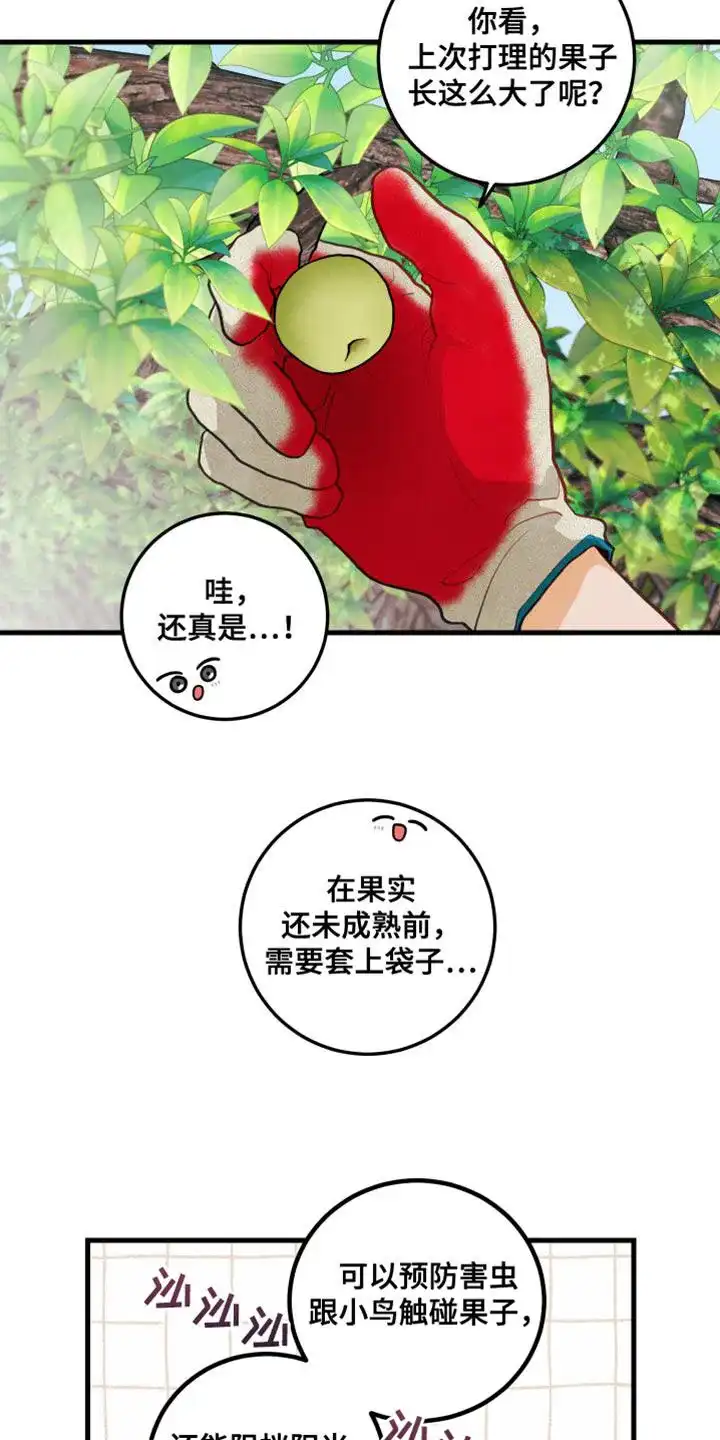 《梨花盛开的爱》第69话 第2页