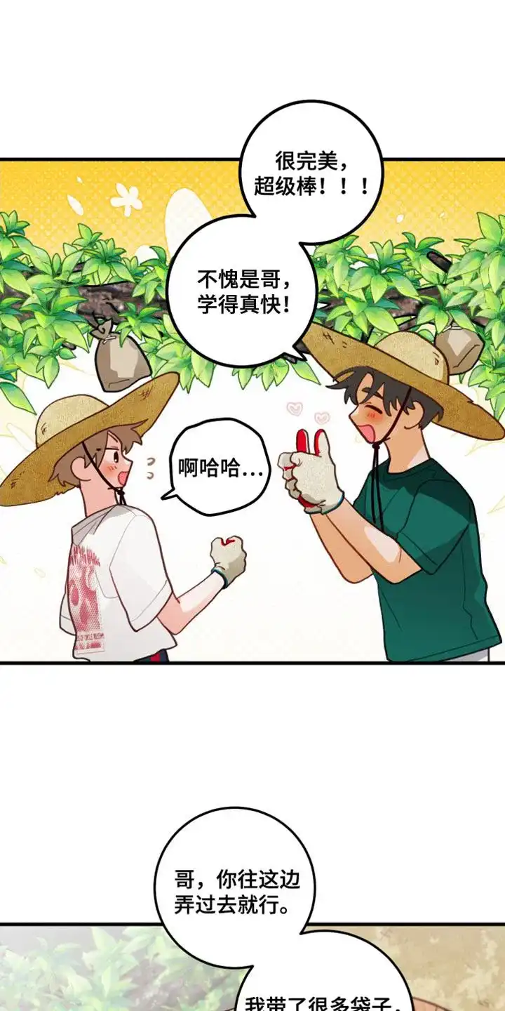 《梨花盛开的爱》第69话 第4页