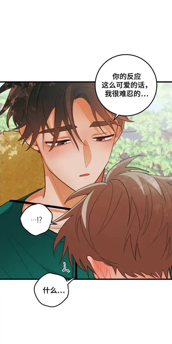 《梨花盛开的爱》第70话 第3页