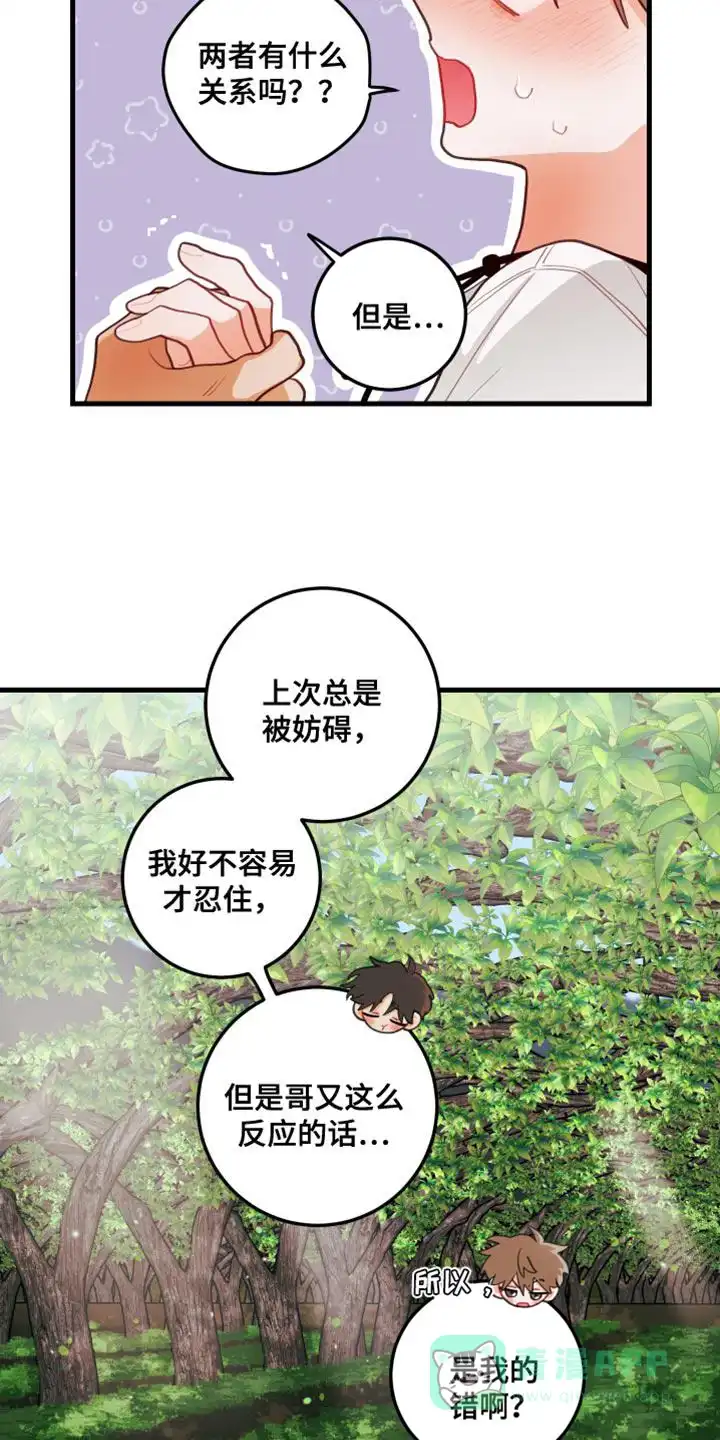 《梨花盛开的爱》第70话 第6页