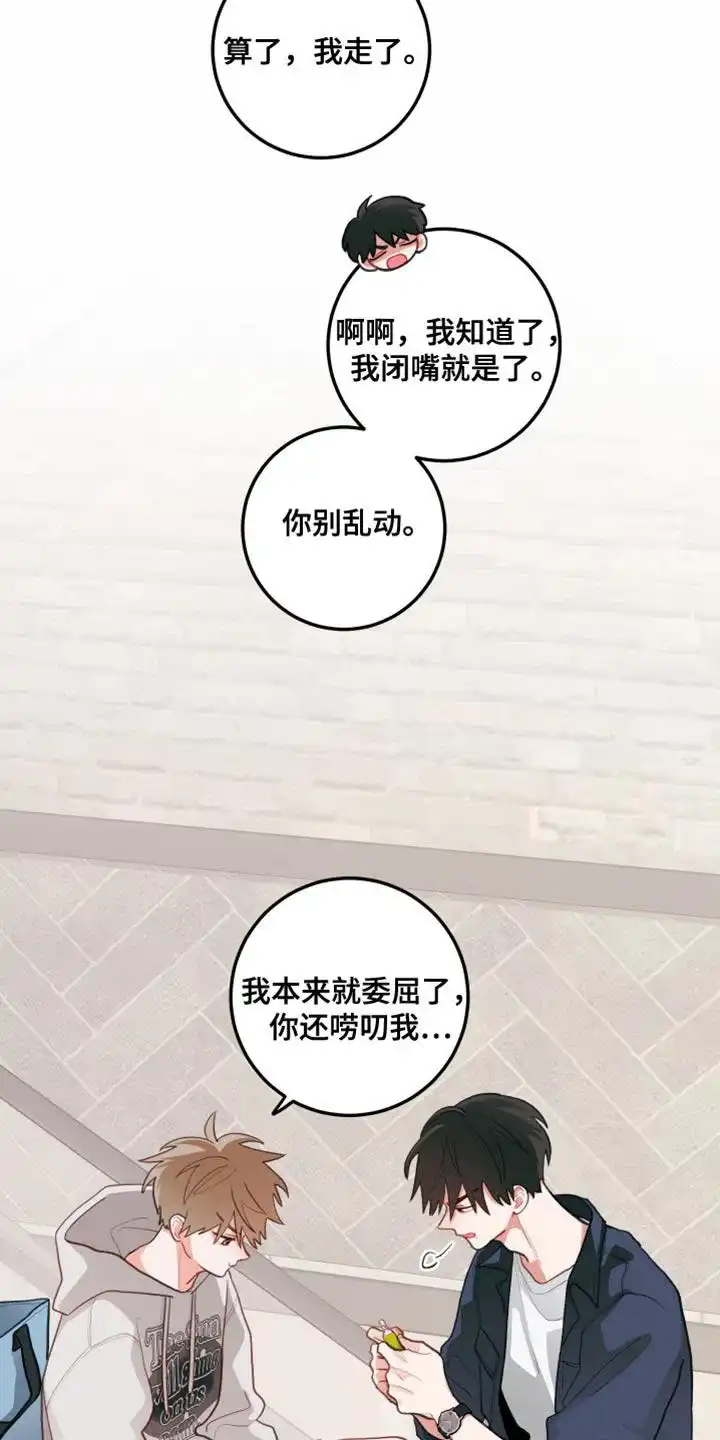 《梨花盛开的爱》第77话 第17页