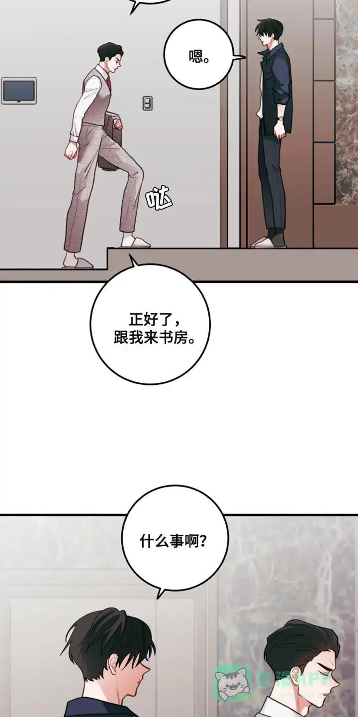 《梨花盛开的爱》第81话 第11页