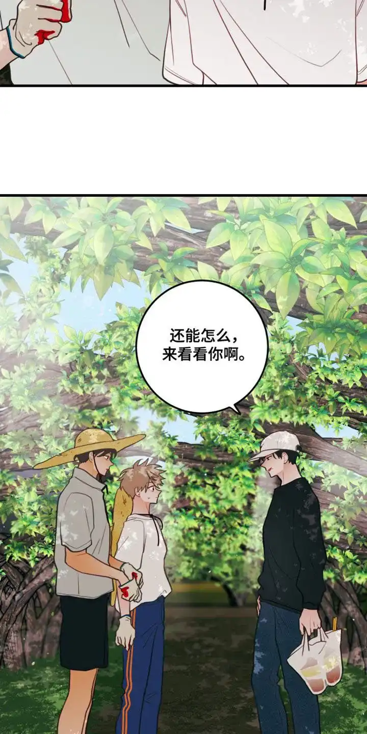 《梨花盛开的爱》第82话 第20页