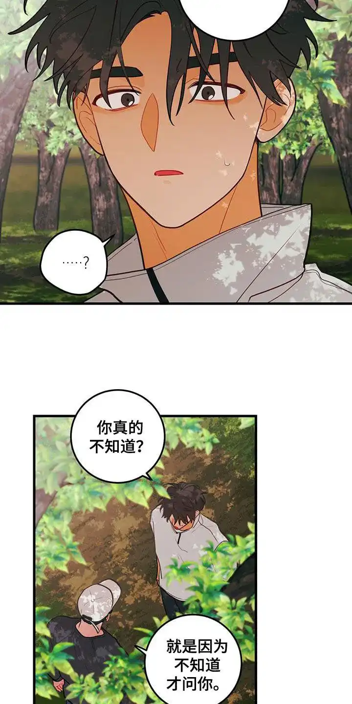 《梨花盛开的爱》第84话 第17页