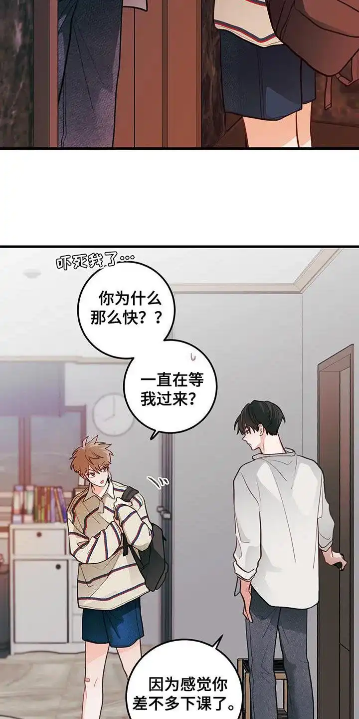 《梨花盛开的爱》第85话 第17页