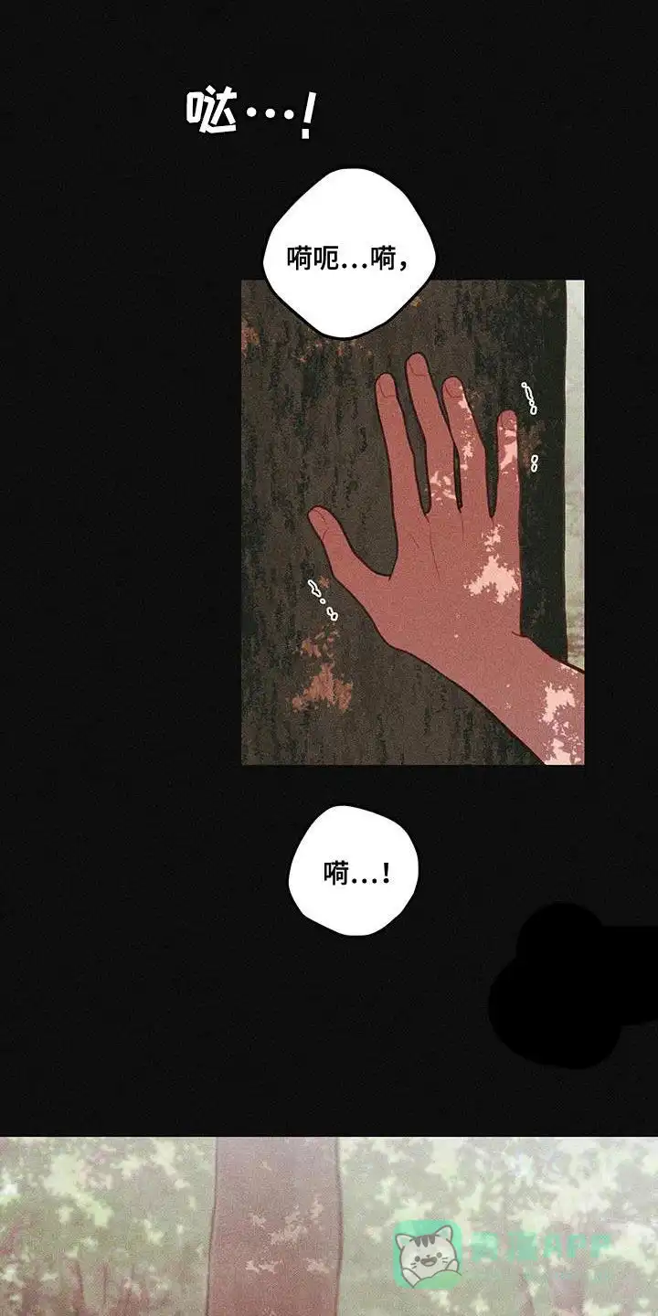 《梨花盛开的爱》第89话 第11页