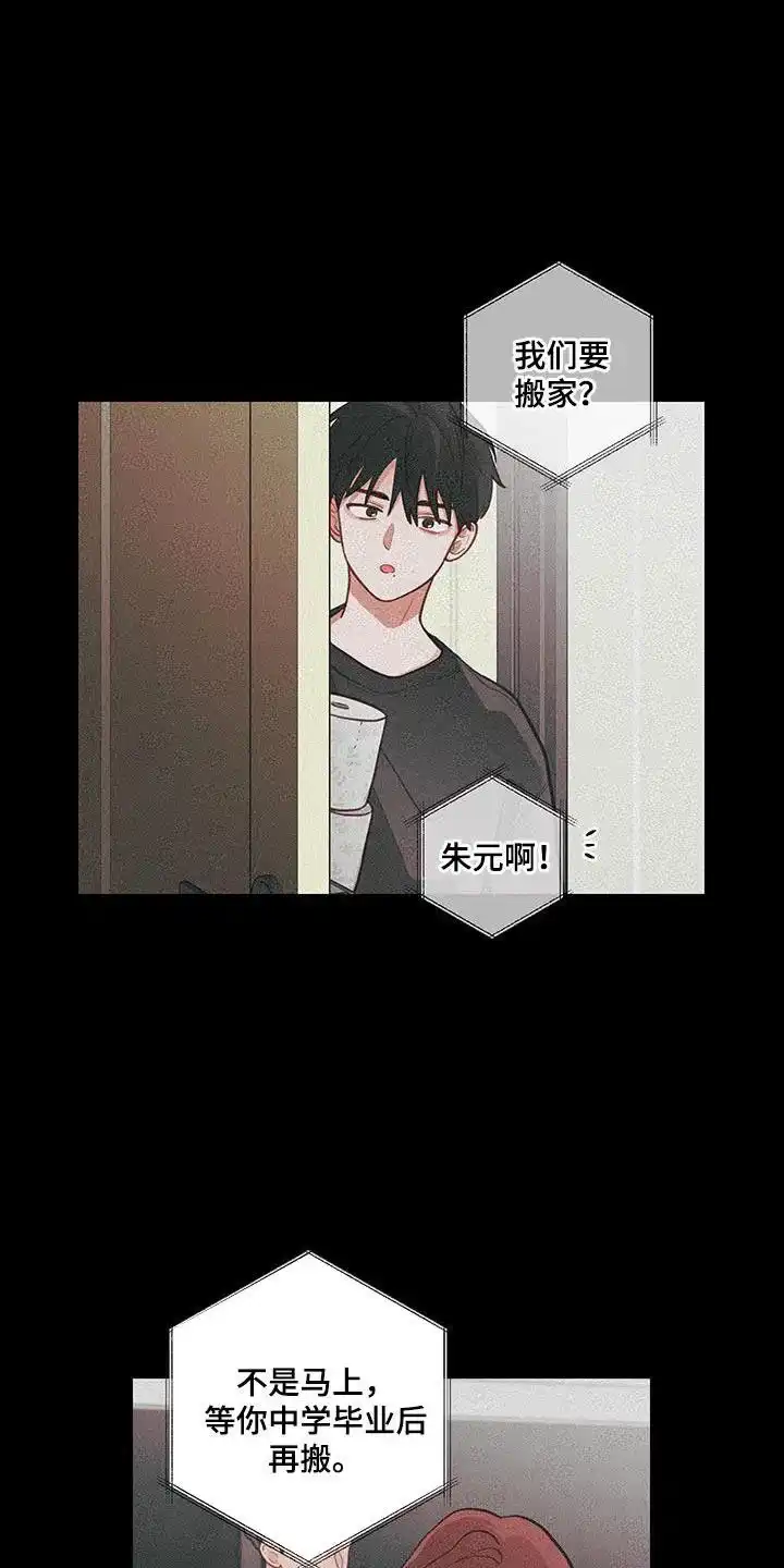 《梨花盛开的爱》第98话 第12页