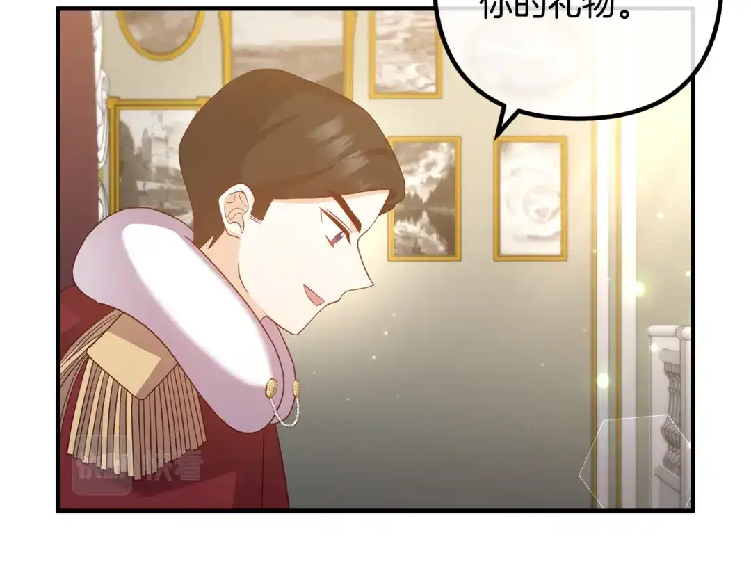 《离婚吧，老公大人！》第48话 皇帝的礼物 第119页