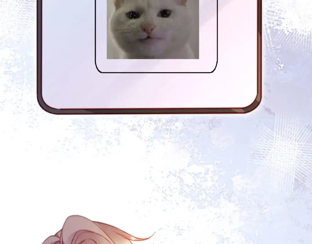 53.jpg
