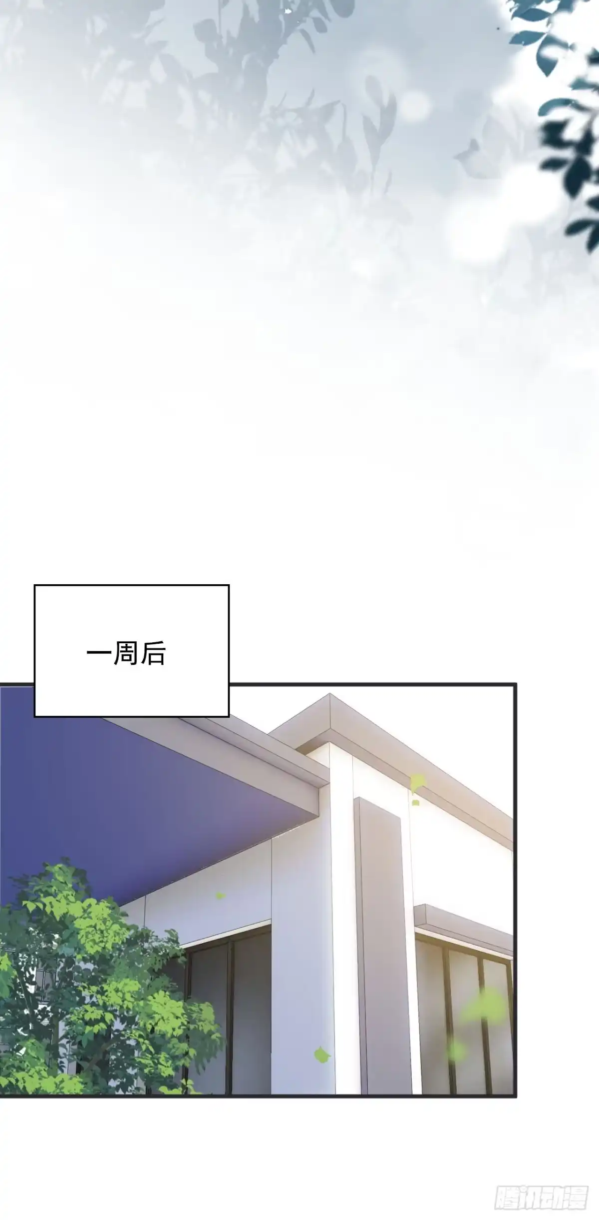 《离婚后，前夫每天都想上位》02- 离婚吧 第25页