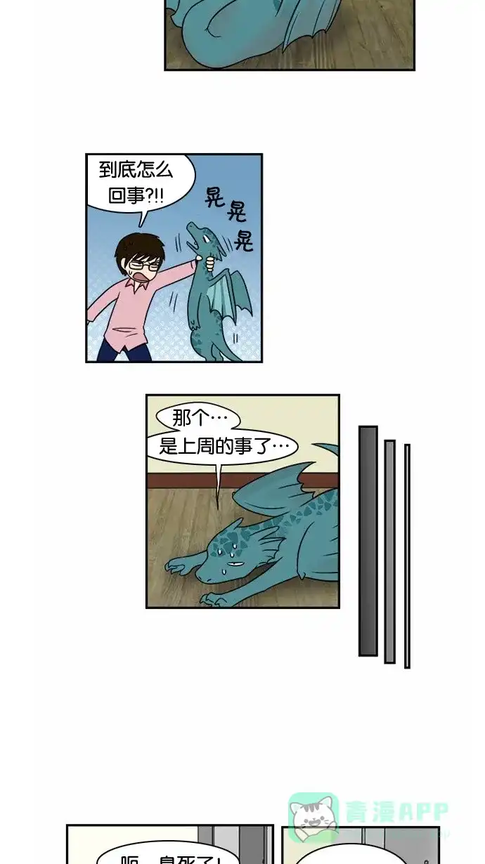《邻家小龙》[第16话] 简而言之，龙是最粗心大意的生物 第6页