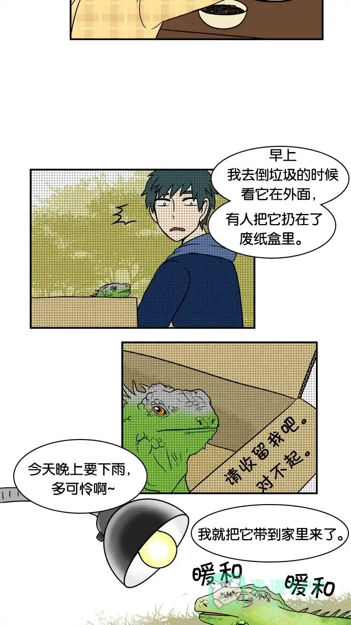 《邻家小龙》[第24话] 加拉帕戈斯产宠物龙 第7页