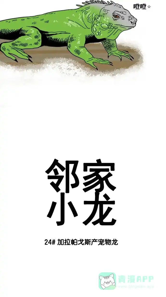 《邻家小龙》[第24话] 加拉帕戈斯产宠物龙 第3页