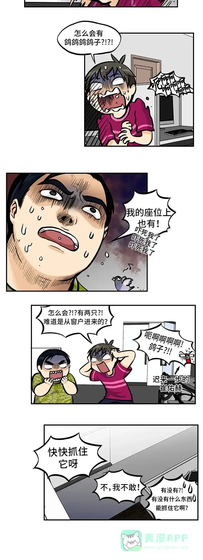 《邻家小龙》[第4季] 第38话 比比鸟舍身冲撞 第10页