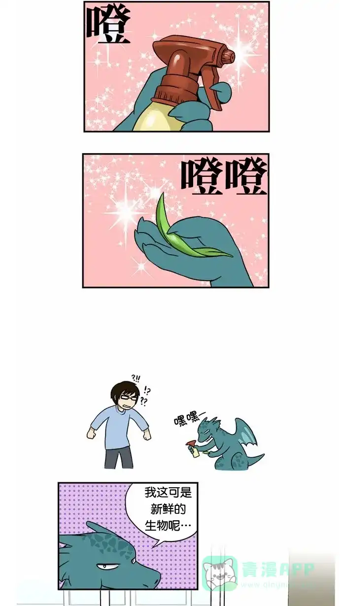 《邻家小龙》[第14&15话]变肥的龙&这个小插曲是和作者没有任何关系的虚构故事 第13页