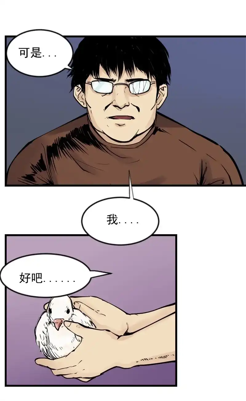 26.jpg