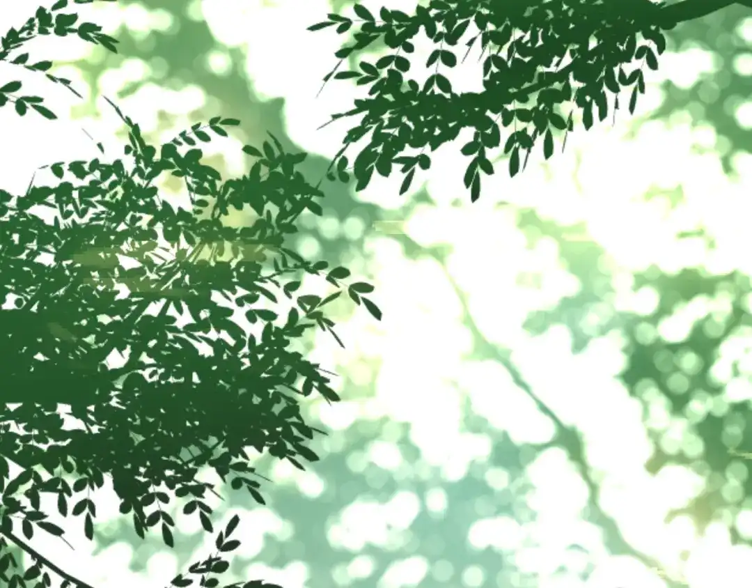 《六月的不期而遇-《六月的不可思议系列》》第41话 告白之冷猫 第5页