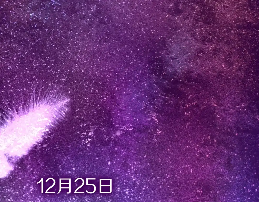 《六月的不期而遇-《六月的不可思议系列》》番外1（上） 圣诞奇妙夜 第53页