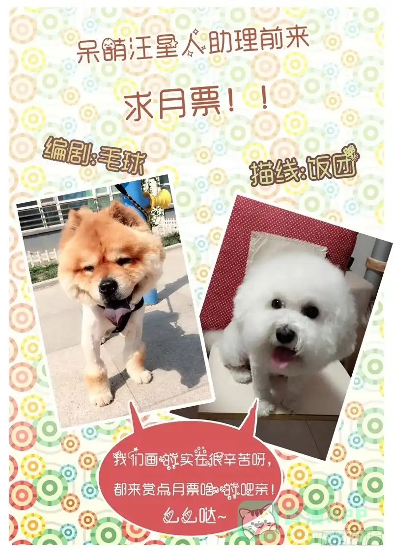 理想禁区 第十八回：馒头风波 第11页