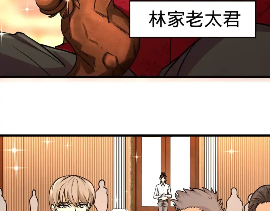 《龙王殿》01 林家大宴 第53页