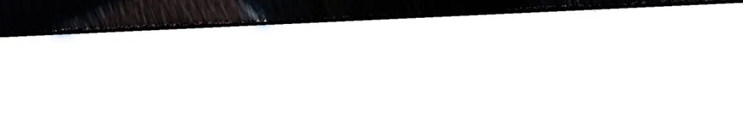 《龙王殿》254 一怒为红颜 第71页