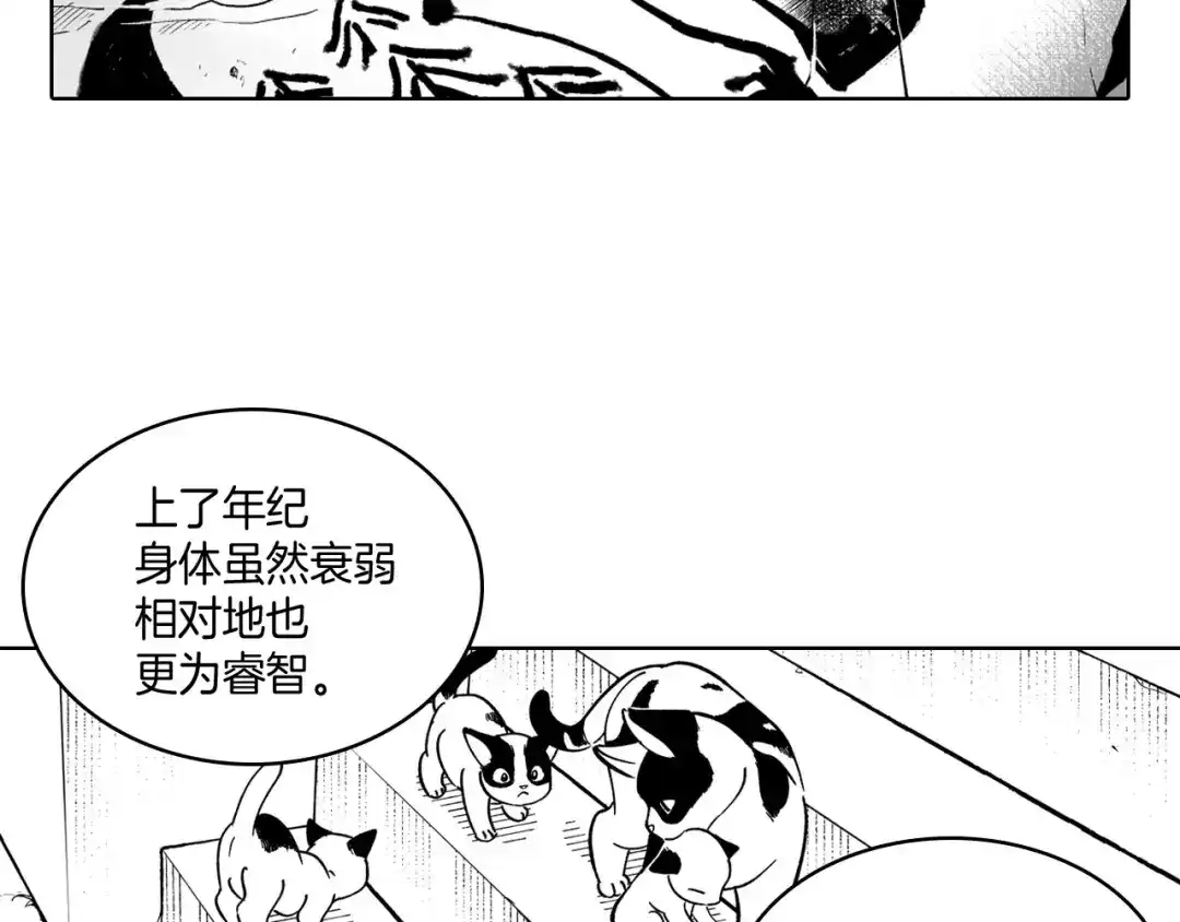 龙之归途 第18话 诛龙之战 第16页